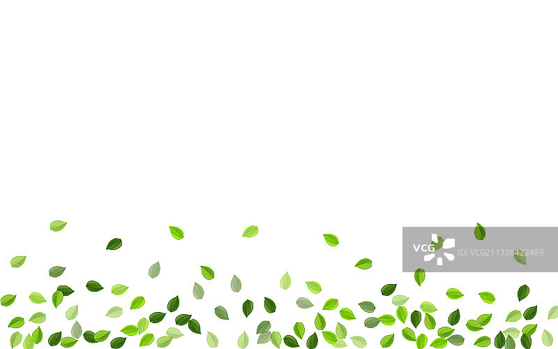 薄荷叶森林飞舞图片素材