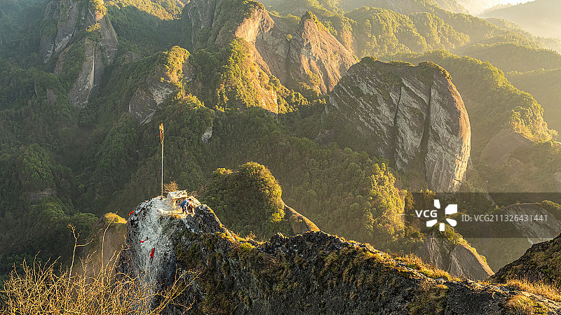 龙头香图片素材