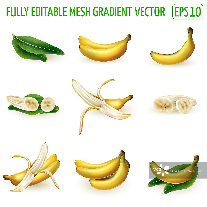 白色背景上的香蕉组合图片素材
