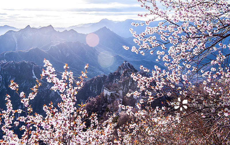 生机盎然图片素材