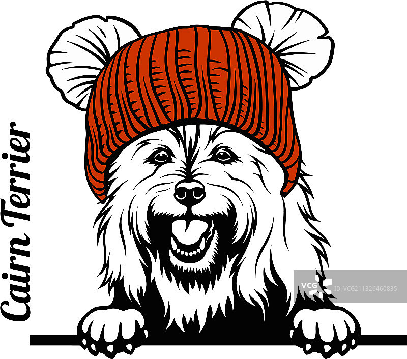 圣诞凯恩梗犬偷看图片素材