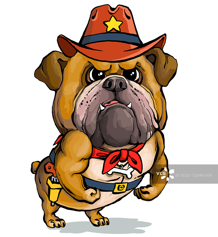 有趣的英国斗牛犬肖像图片素材