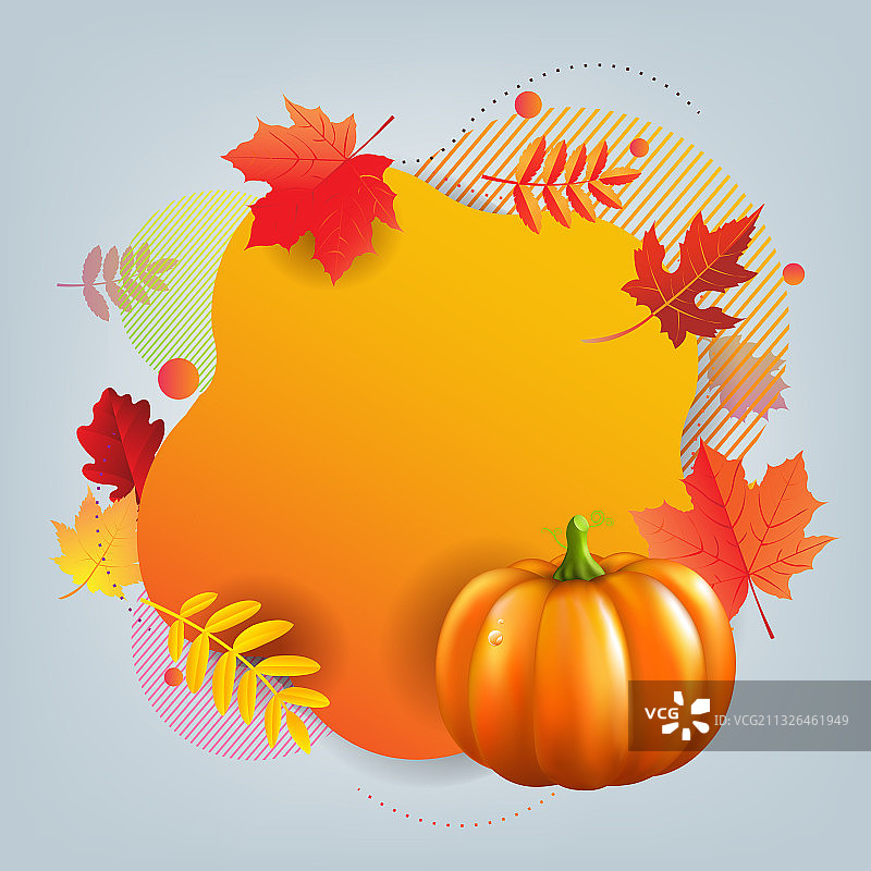 秋季banner：南瓜图片素材