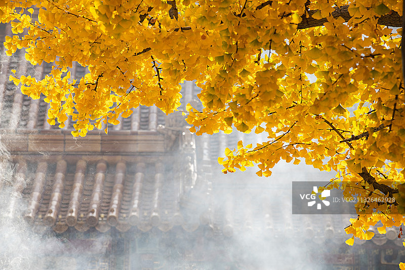 八大处秋景图片素材