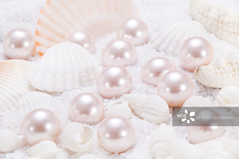 白色沙石上的贝壳珍珠图片素材