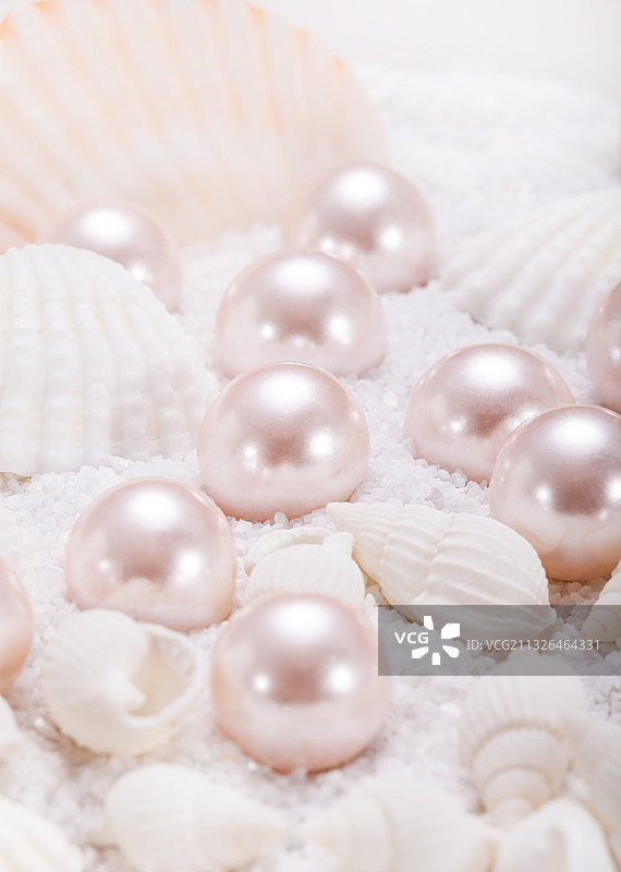白色沙石上的贝壳珍珠图片素材