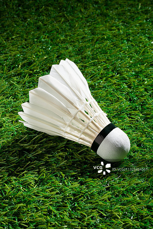 绿色草地上的羽毛球图片素材