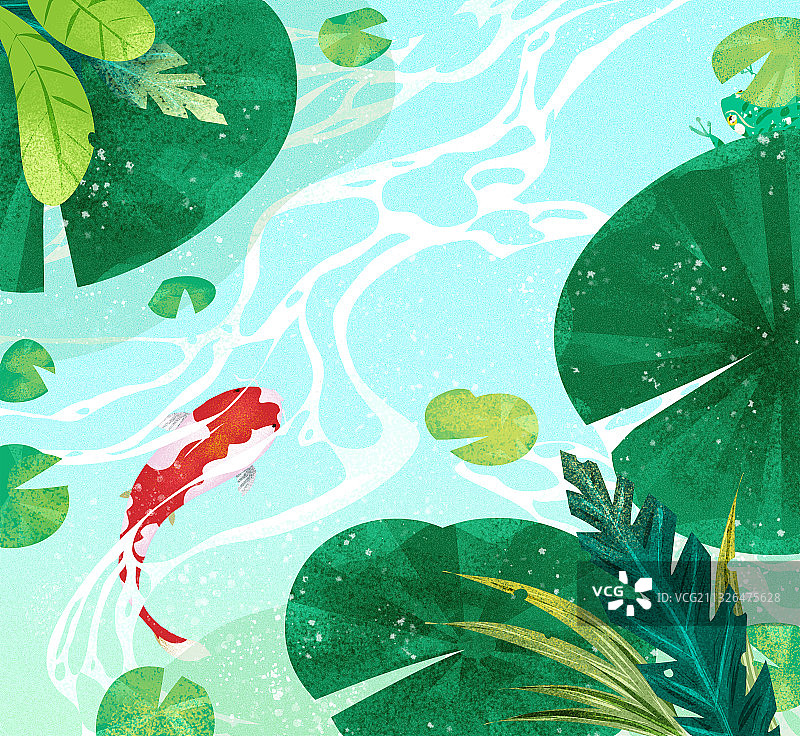 夏天池塘里的风景图片素材