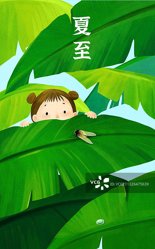 夏至图片素材