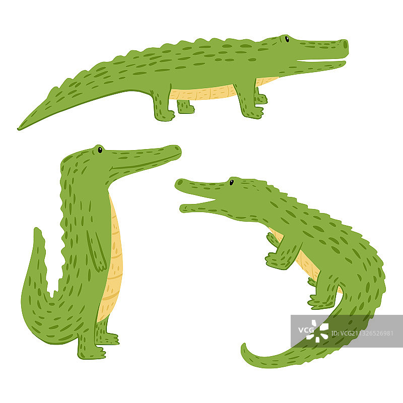 卡通鳄鱼白色背景场景图片素材