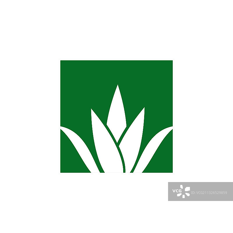 芦荟植物标志设计模板图片素材
