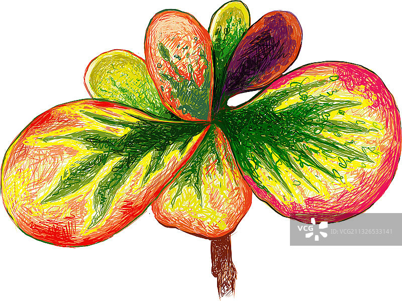 黄绿色变叶木植物图片素材