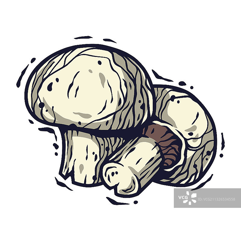 纯素食品蘑菇图片素材