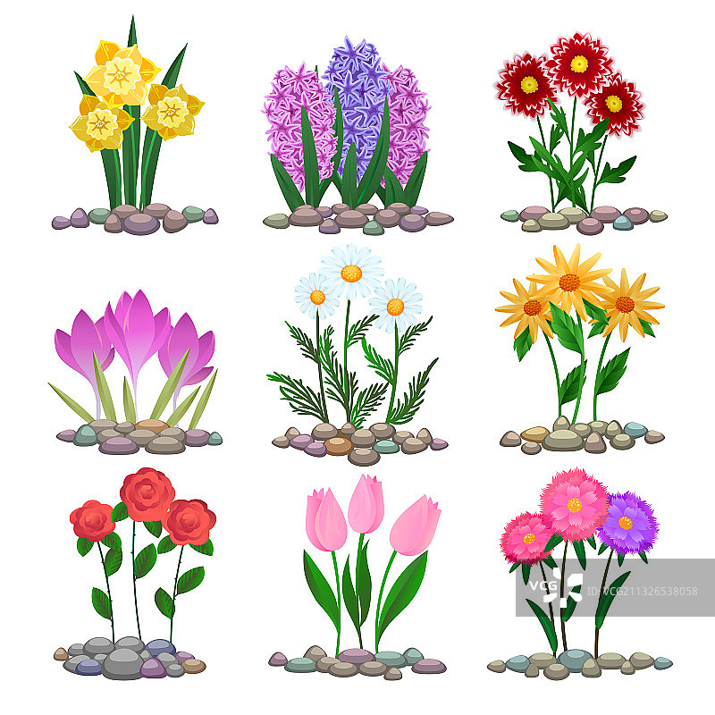 泥土上的花园花卉植物图片素材