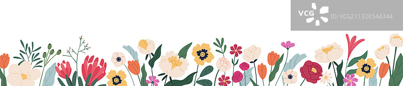 白色横幅或花卉背景图片素材