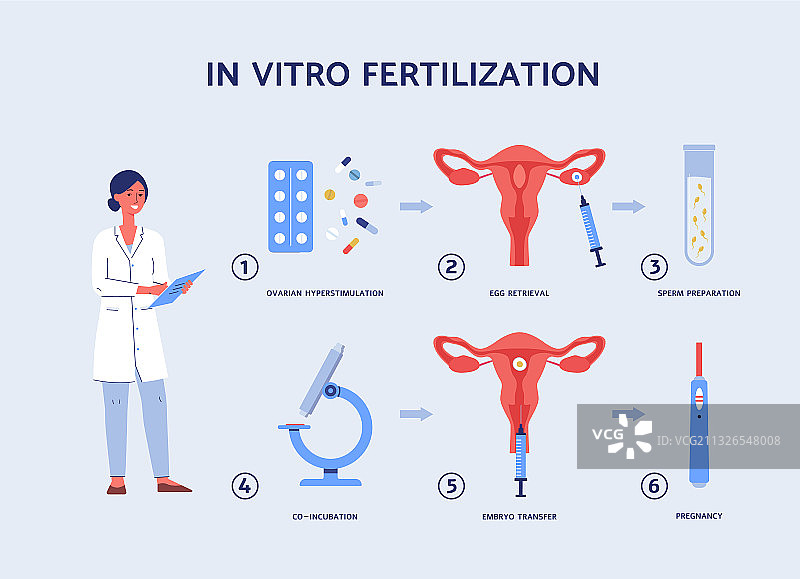 扁平风IVF步骤图片素材