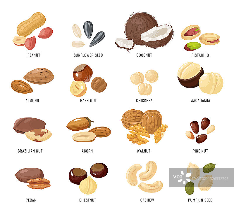 坚果和种子图片素材