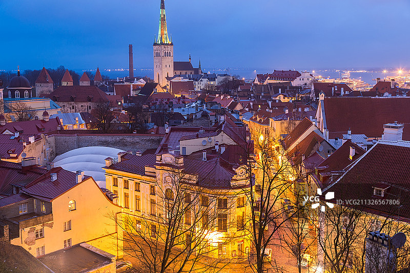 爱沙尼亚塔林：从托姆比亚山眺望老城图片素材