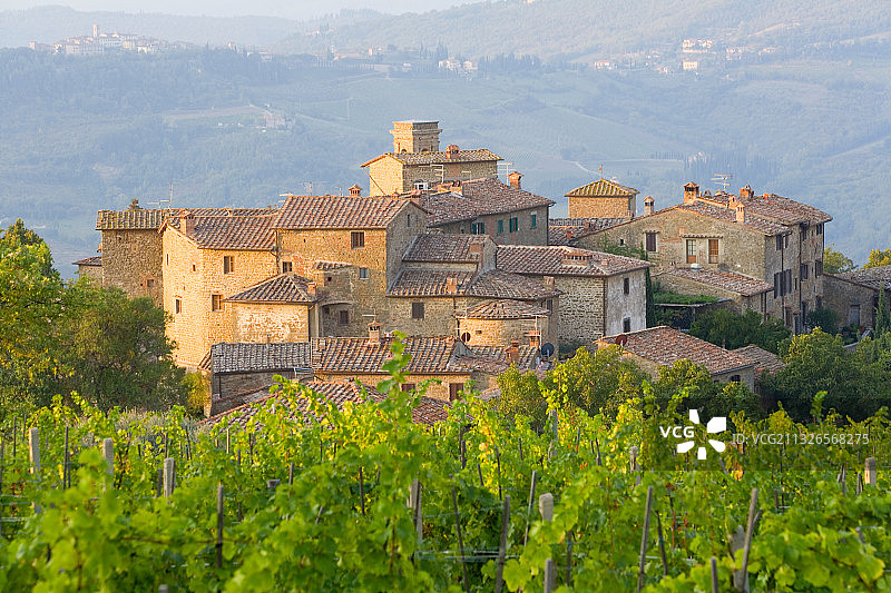 意大利沃尔帕亚葡萄园和中世纪村庄图片素材