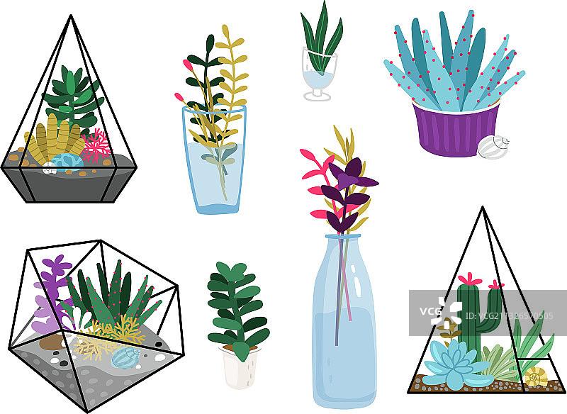 多肉植物组合图片素材