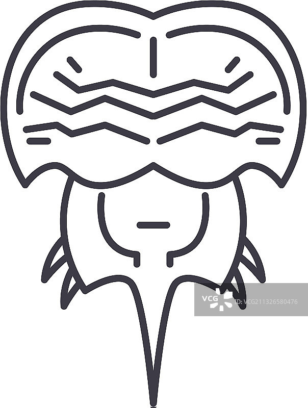 马蹄蟹线性图标图片素材