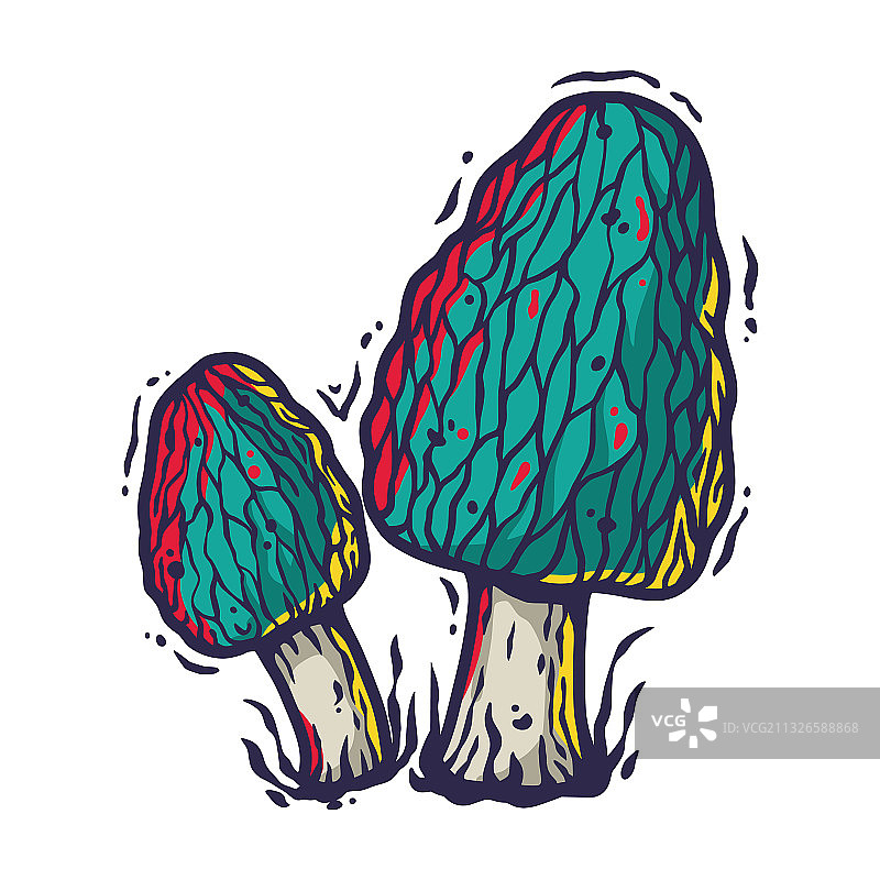 纯素食材羊肚菌图片素材