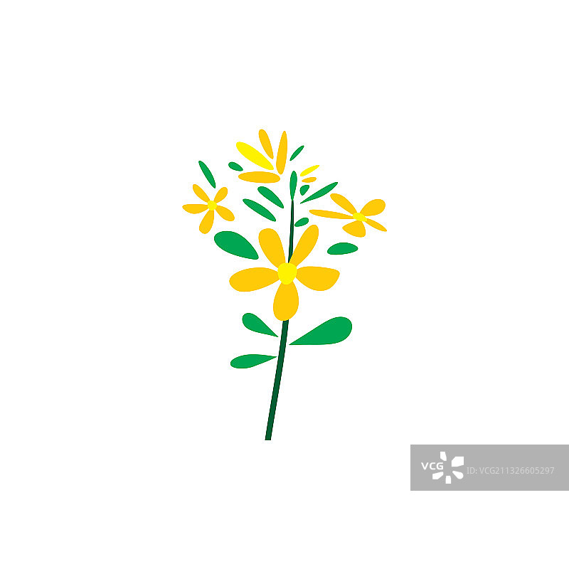 圣约翰草药植物logo图标设计图片素材
