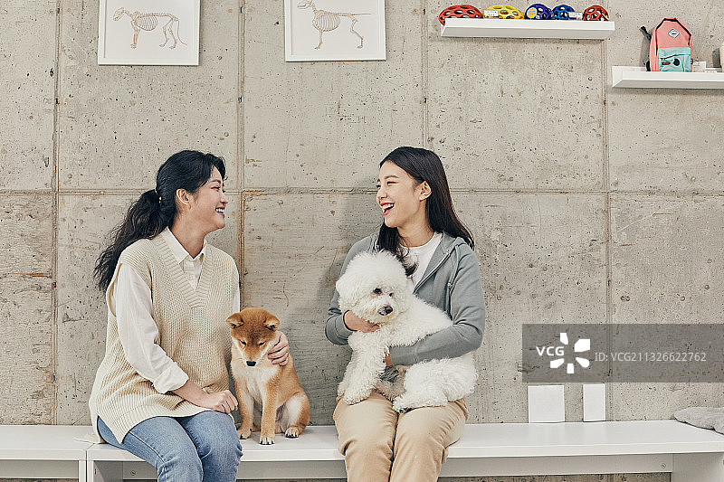 女士与宠物狗的咖啡馆时光图片素材