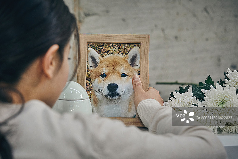 小狗、葬礼、悲伤、离别图片素材