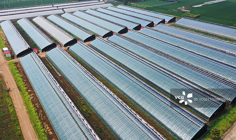 山东枣庄峄城区福兴集团农业开发有限公司的智能温室大棚图片素材