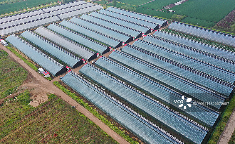 山东枣庄峄城区福兴集团农业开发有限公司的智能温室大棚图片素材