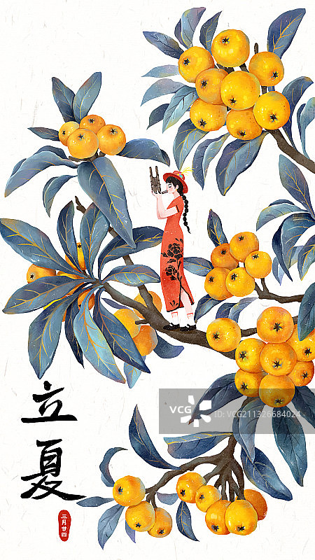 立夏节气插画图片素材