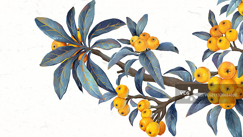 立夏节气插画图片素材