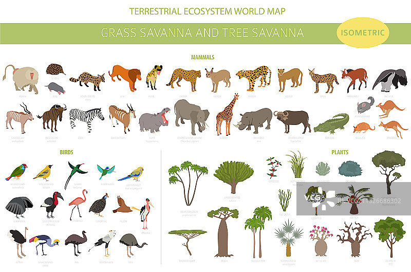树木稀树草原和草地稀树草原生物群落图片素材