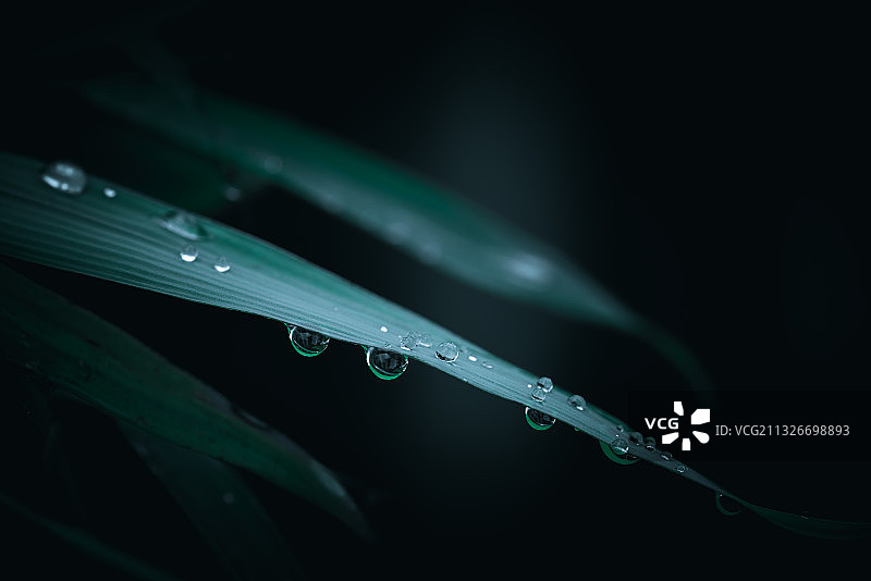 珠帘碧合尤珍贵图片素材