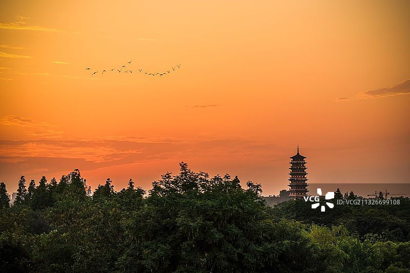 扬州蜀岗瘦西湖 夕照栖灵塔图片素材