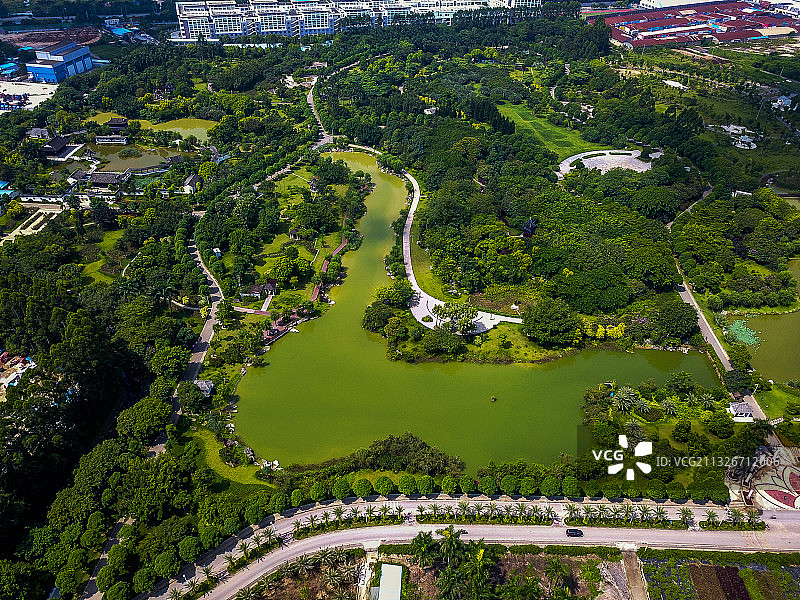 南宁花卉公园图片素材