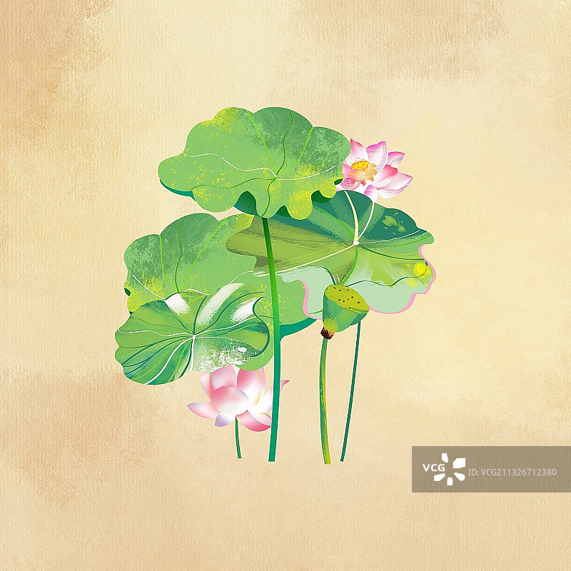 复古宣纸中国画传统景物夏天的荷塘莲花荷花莲藕荷叶莲蓬图片素材