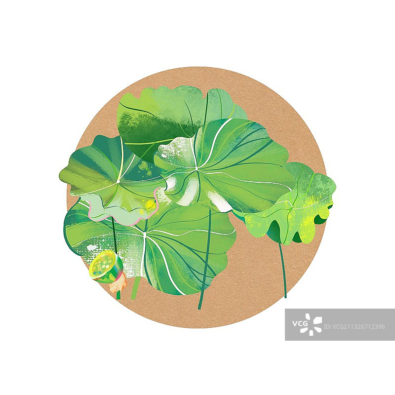 复古宣纸中国画传统景物夏天的荷塘莲花荷花莲藕荷叶莲蓬图片素材