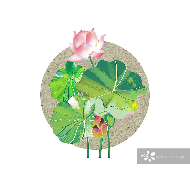 复古宣纸中国画传统景物夏天的荷塘莲花荷花莲藕荷叶莲蓬图片素材