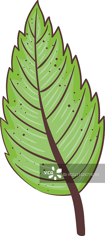 生态绿叶植物自然图标图片素材