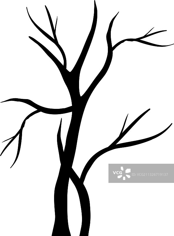 两棵秋季枯树的树枝轮廓图片素材