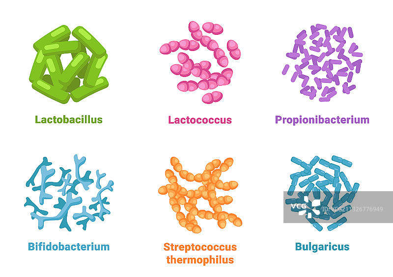 益生菌微观细胞集合图片素材
