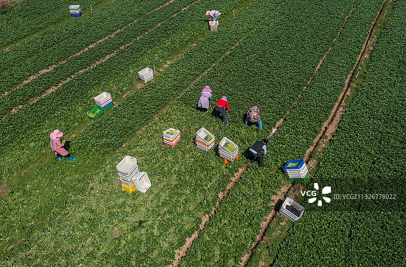 春天的原野图片素材