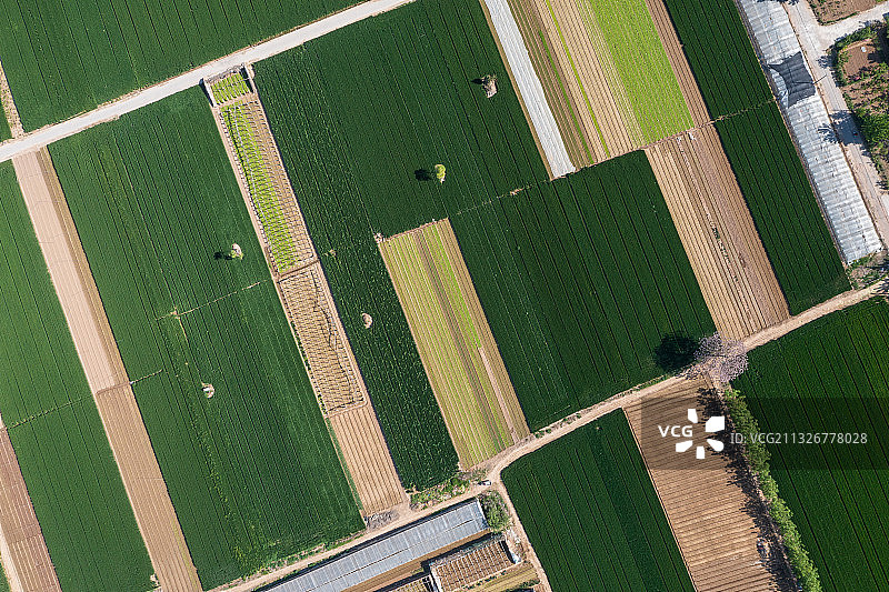 春天的原野图片素材