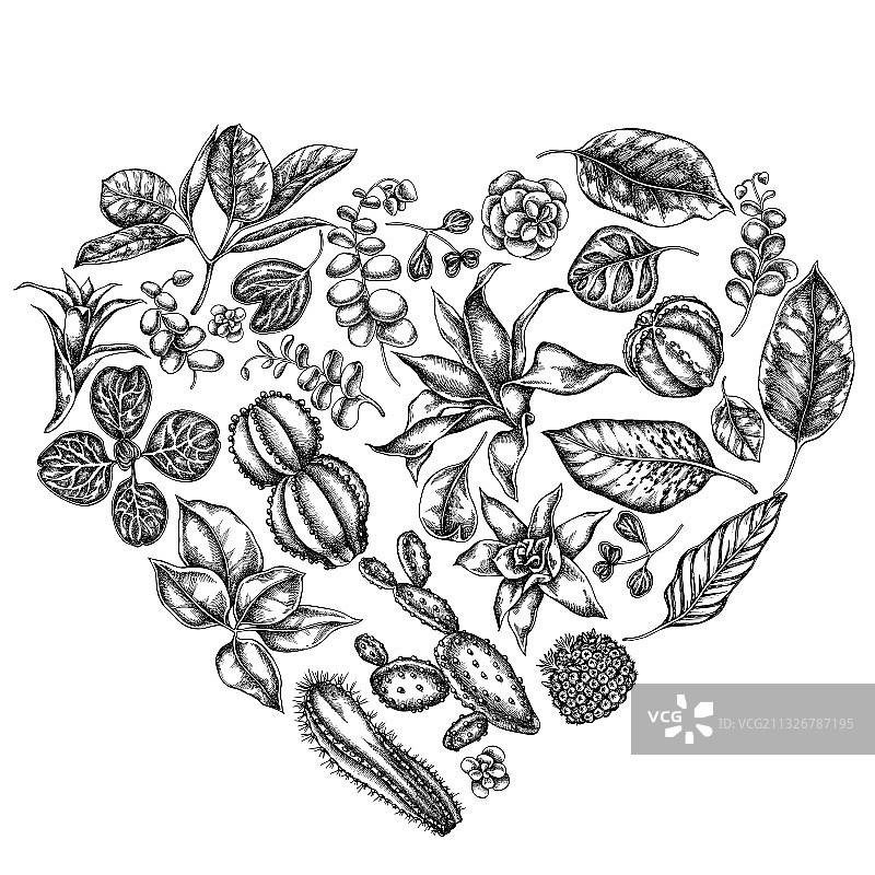 黑白榕树心形花卉设计图片素材