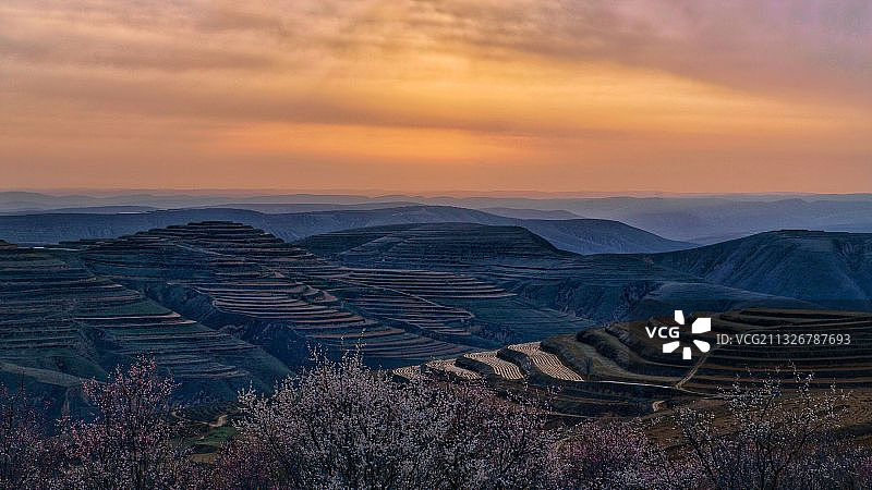晨曦映梯田图片素材
