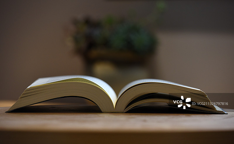 世界读书日图片素材