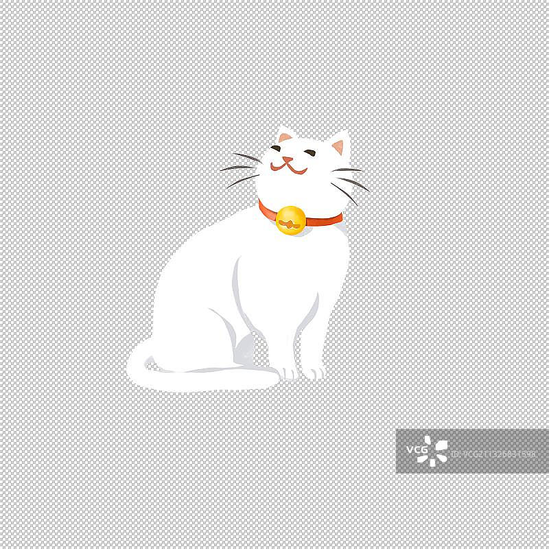 白色猫咪图片素材
