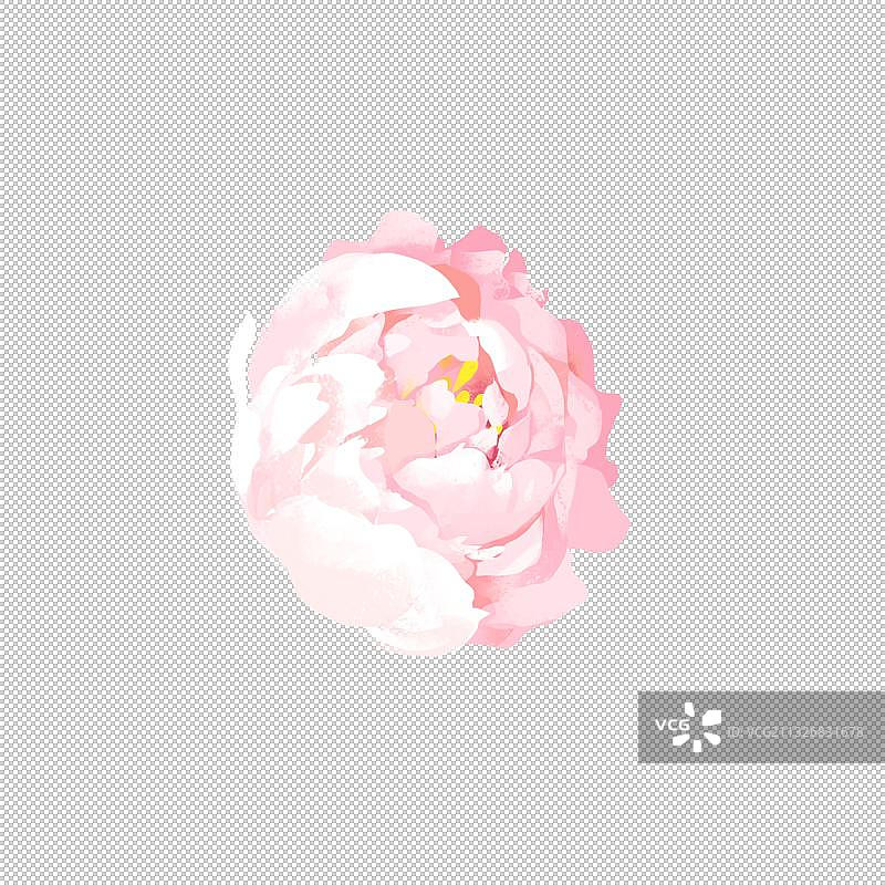 妇女节鲜花花束图片素材